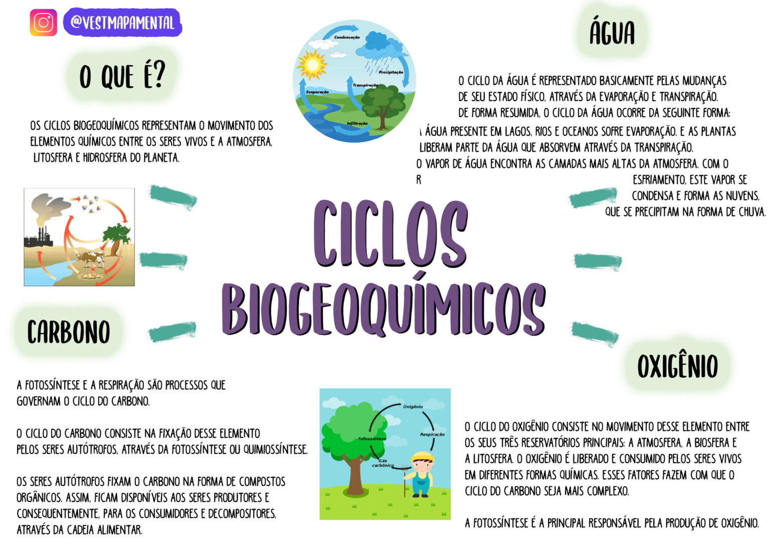 Mapa Conceptual Ciclos Biogeoquimicos Pamito The Best Porn Website
