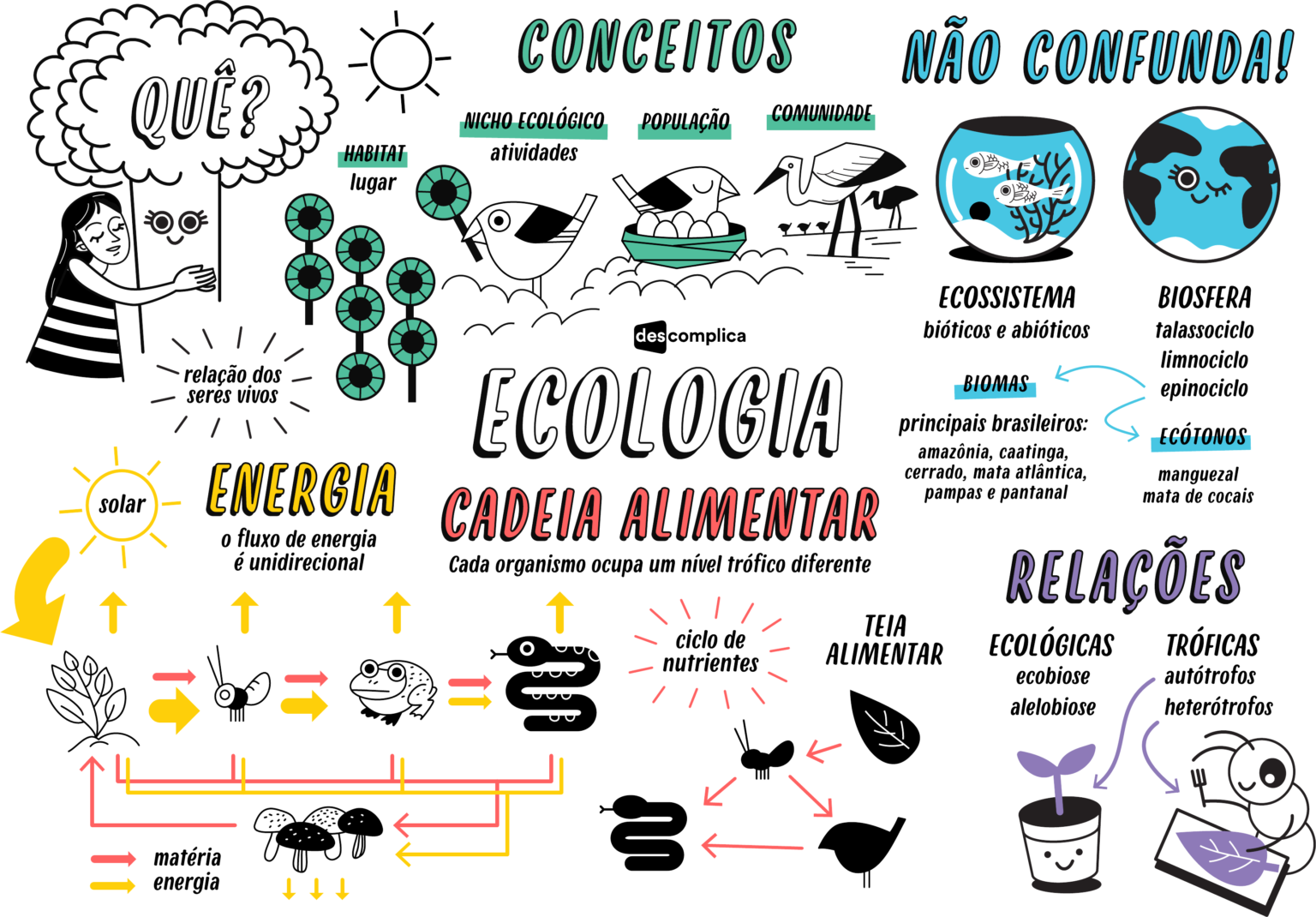 Ecologia Resumos E Mapas Mentais Infinittus