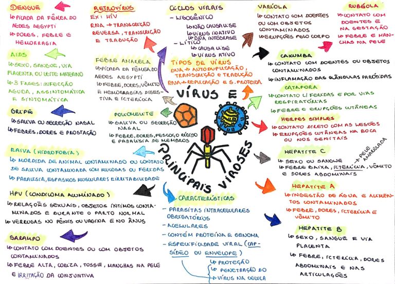 Teorias Evolutivas Resumos E Mapas Mentais Infinittus Kulturaupice