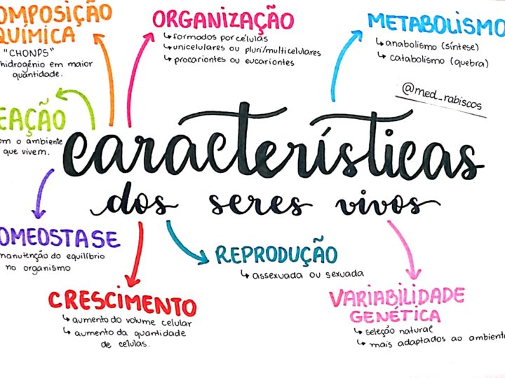 Características Gerais Dos Seres Vivos Mapa Mental