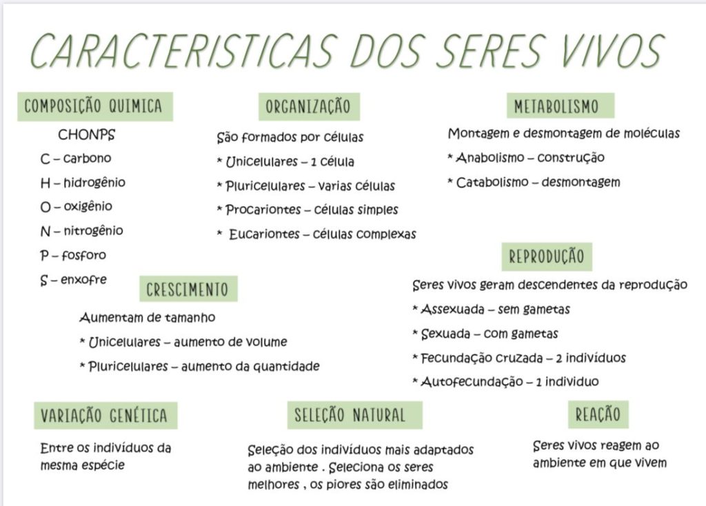 Características do seres vivos [resumos e mapas mentais] - Infinittus