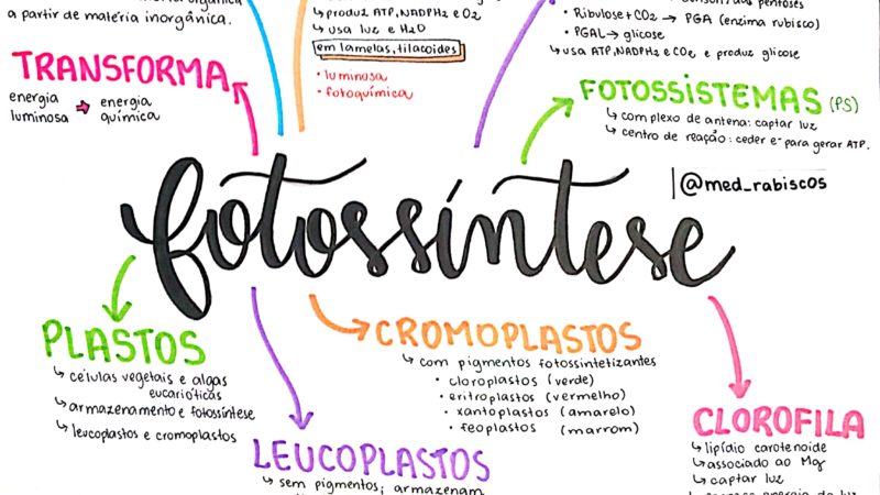 Fotossíntese [resumos e mapas mentais]