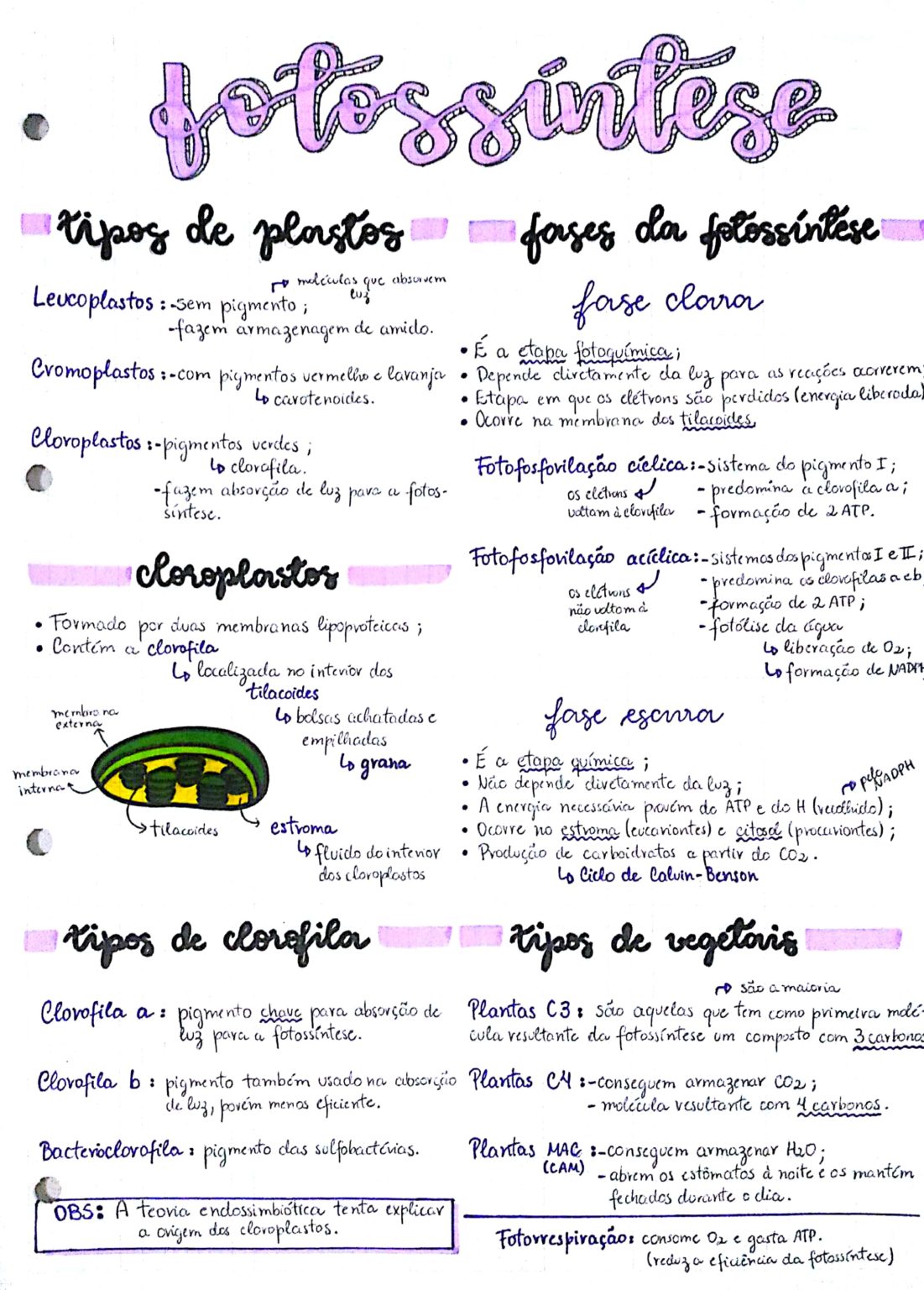 Fotossíntese Resumos E Mapas Mentais Infinittus 0483