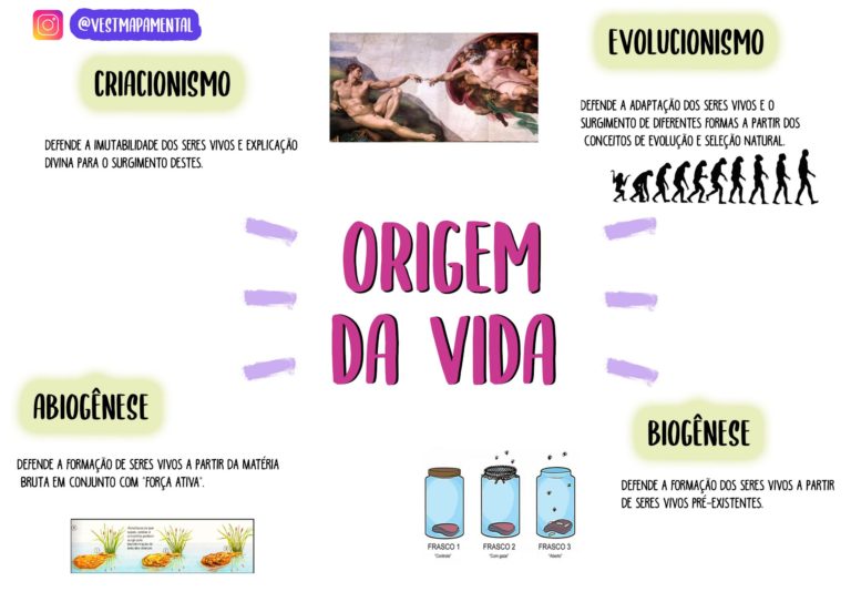 Origem Da Vida [resumos E Mapas Mentais] - Infinittus