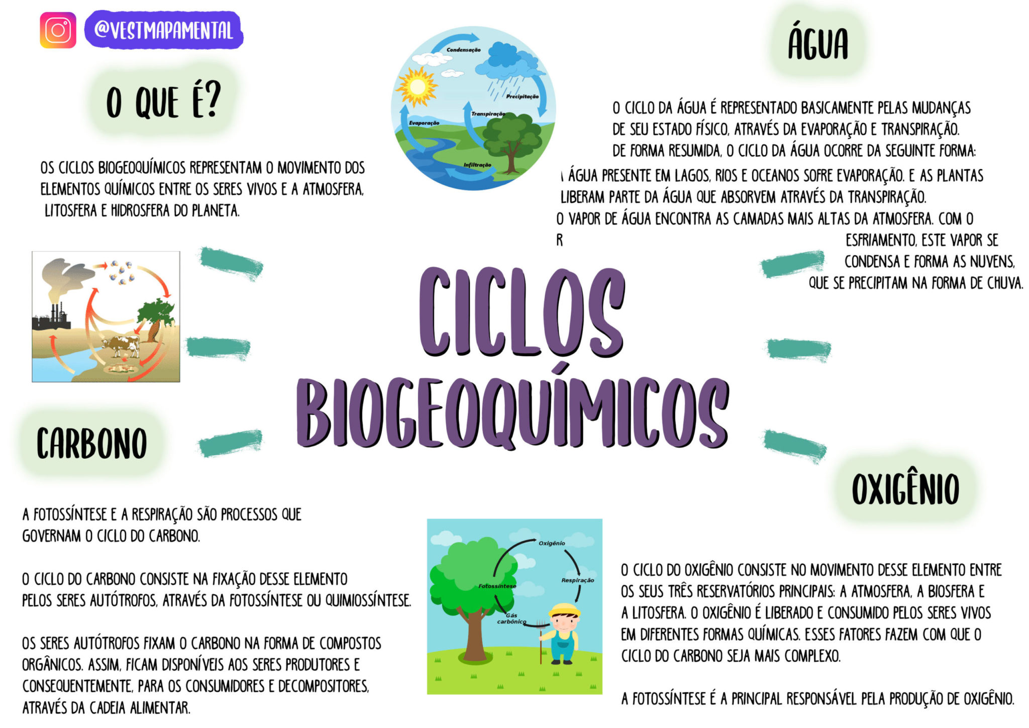 Ciclos Biogeoquimicos Mapa Conceptual Top Mapas Images 8824