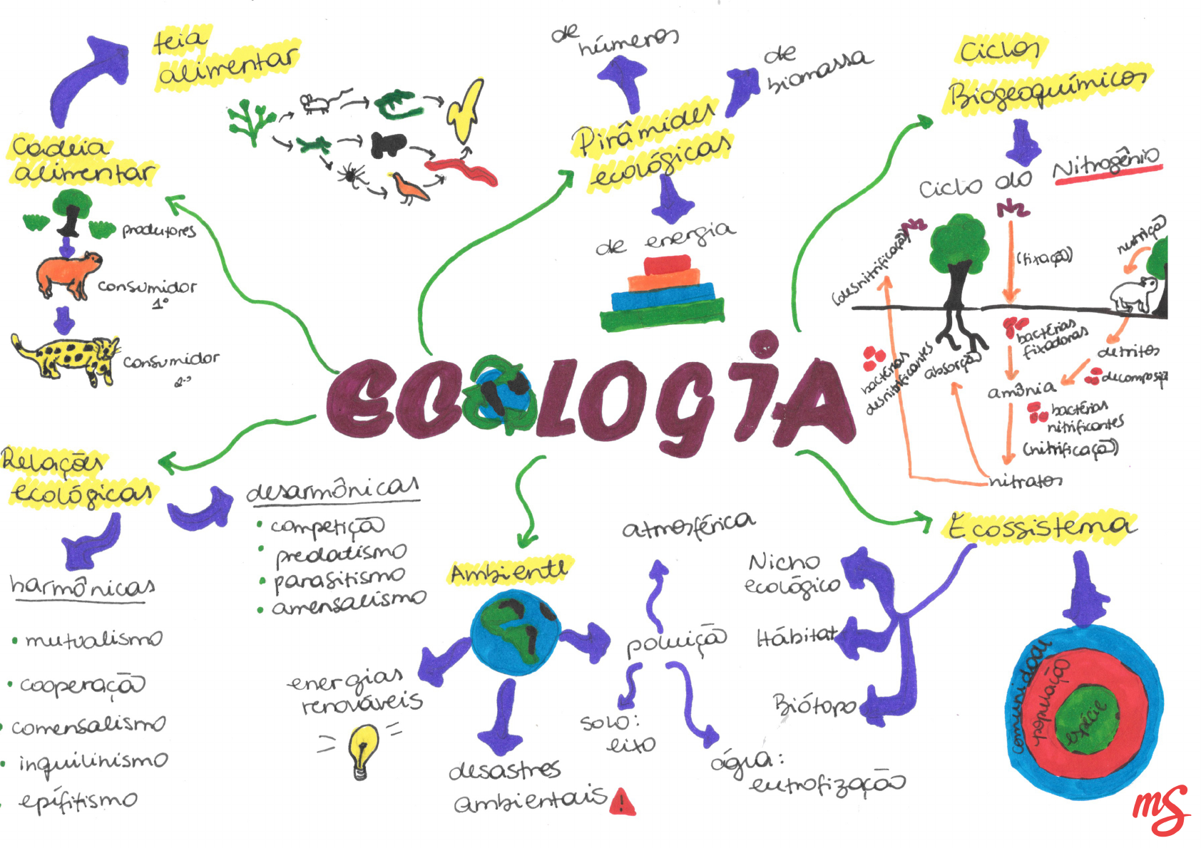 Ecologia Resumos E Mapas Mentais Infinittus