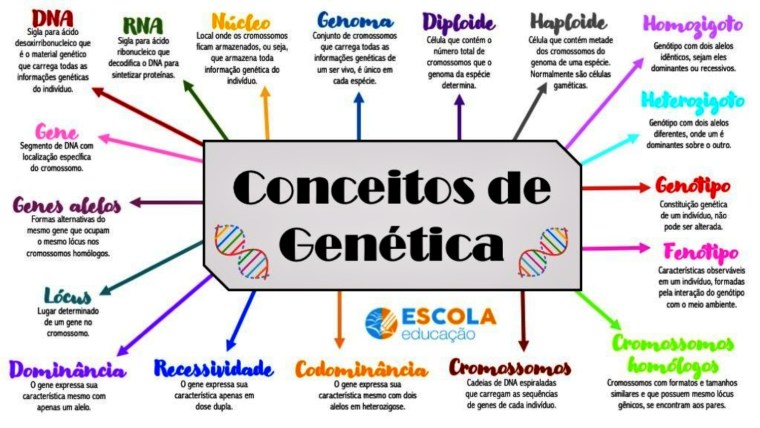 Teorias evolutivas [resumos e mapas mentais] - Infinittus