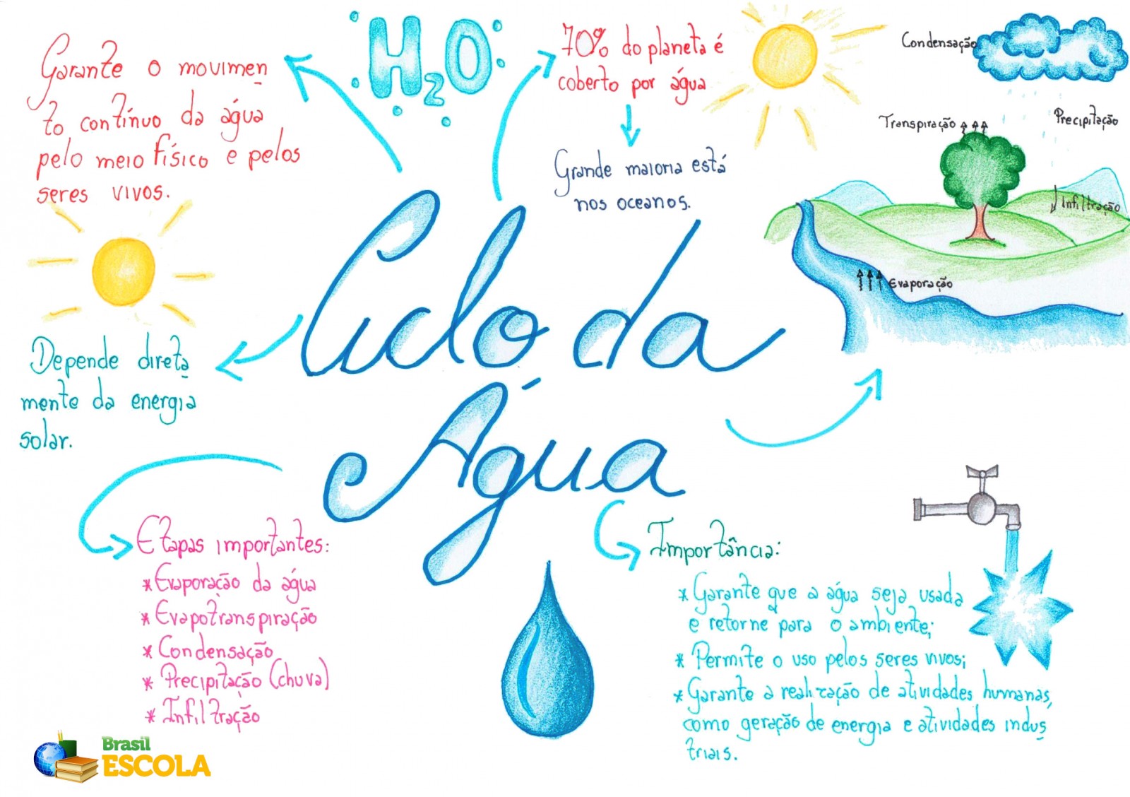 Ciclos Biogeoquímicos Resumos E Mapas Mentais Infinittus 3298