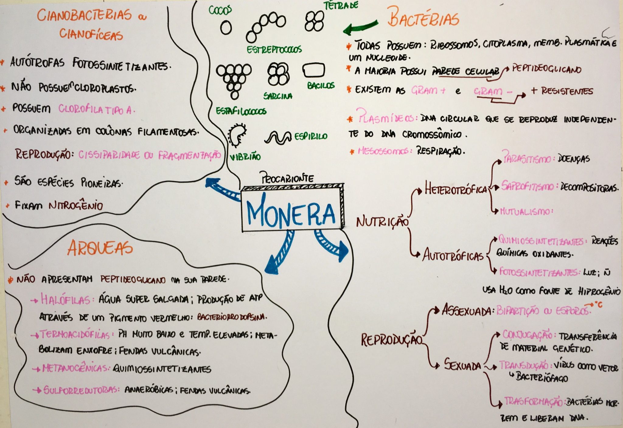 Reinos [resumos e mapas mentais] - Infinittus