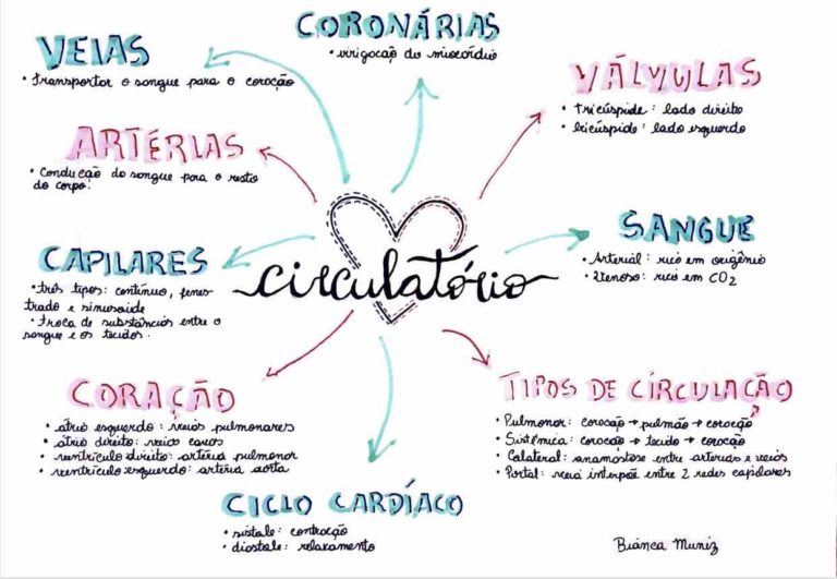 Sistema Circulatório Ou Cardiovascular Resumos E Mapas Mentais Infinittus 8310