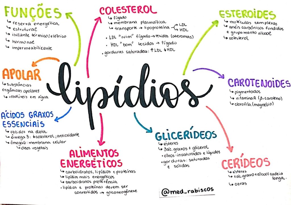 Bioquímica Resumos E Mapas Mentais Infinittus 6624