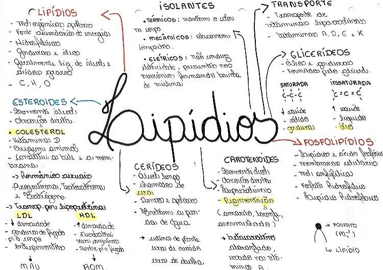 Bioquímica Resumos E Mapas Mentais Infinittus 8100