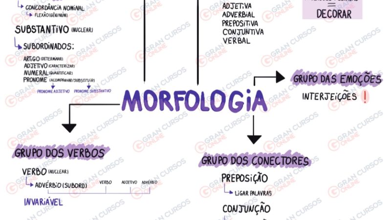 morfologia português mapa mental