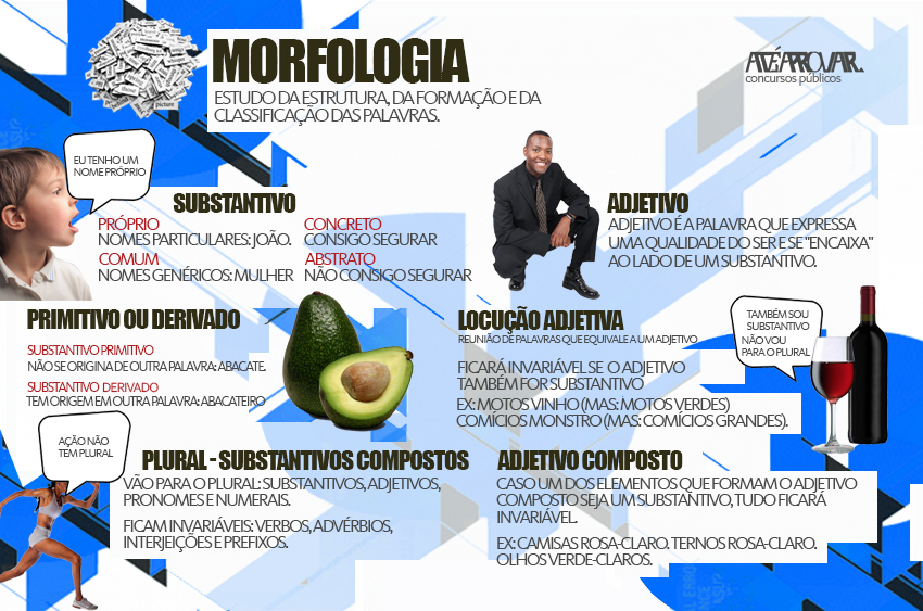 Morfologia [resumos E Mapas Mentais] - Infinittus