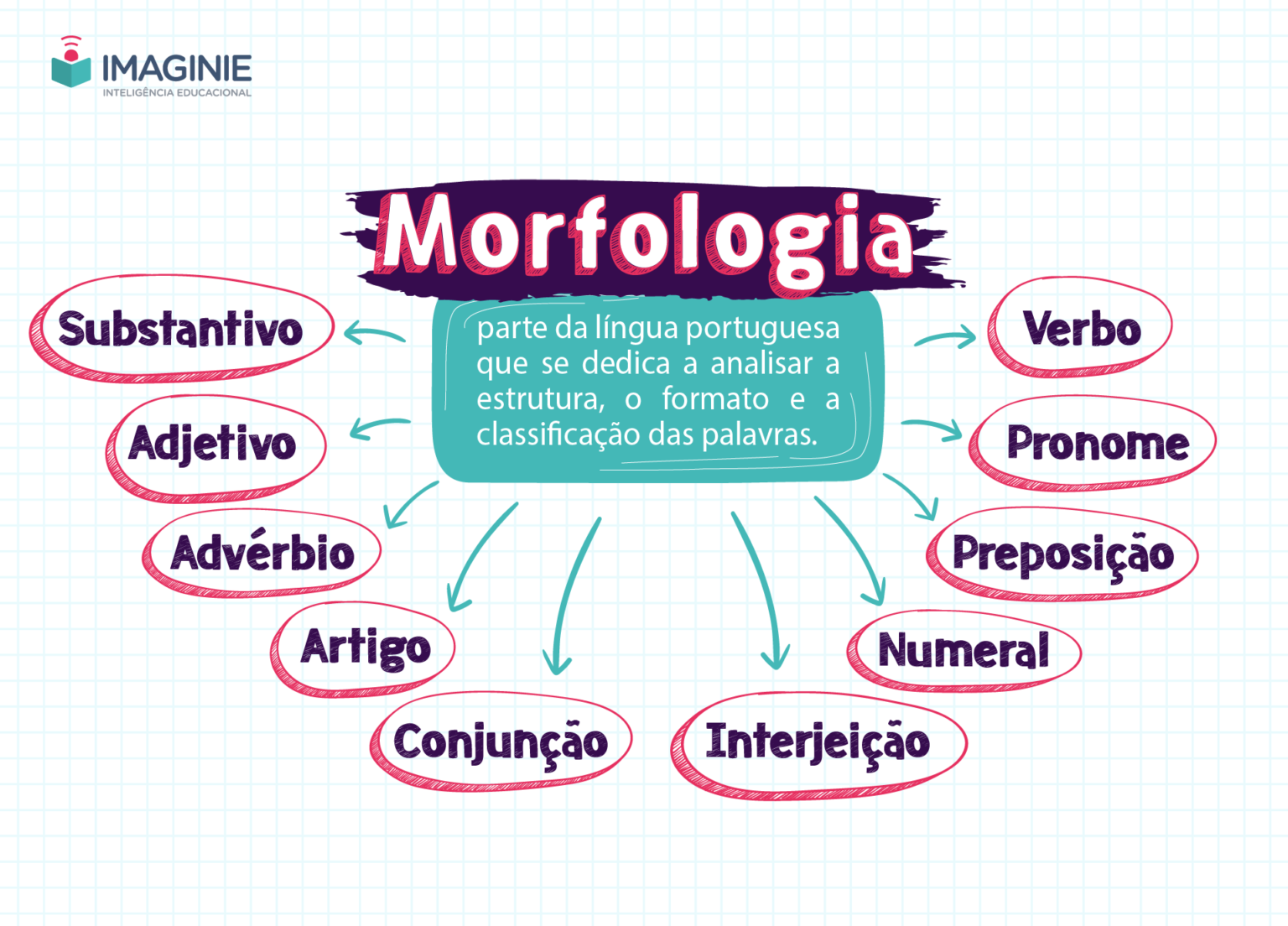Mapa Conceptual De La Morfologia Y Sus Clases Brainly - vrogue.co