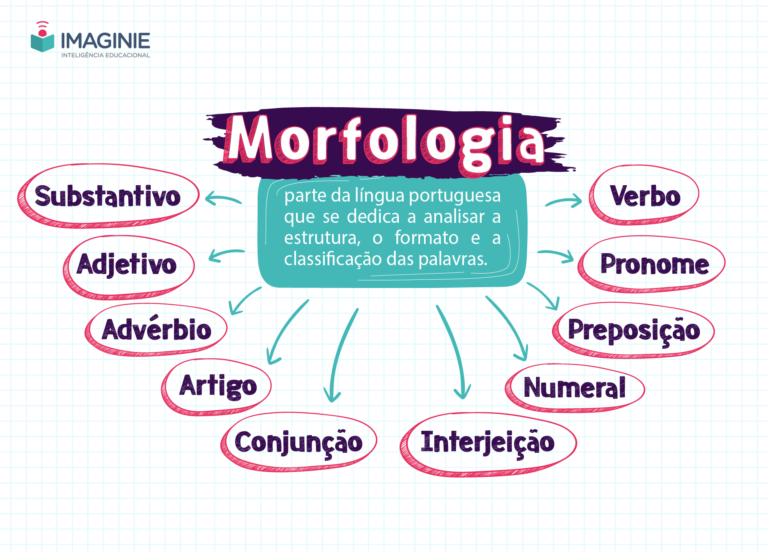 Morfologia [resumos E Mapas Mentais] - Infinittus