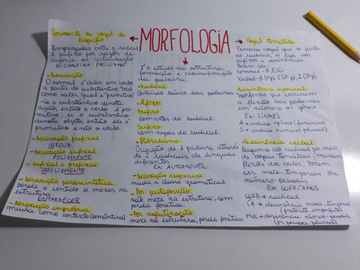 Morfologia [resumos E Mapas Mentais] - Infinittus