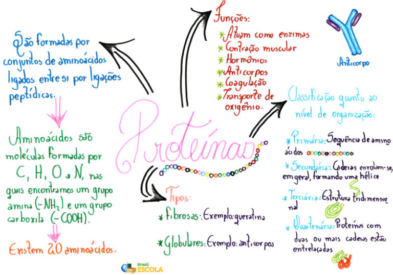 Bioquímica [resumos e mapas mentais] - Infinittus