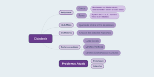 Cidadania [resumos E Mapas Mentais] - Infinittus