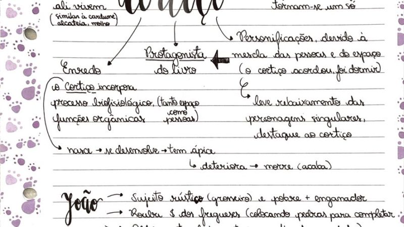 O-Cortico-resumo-e-mapa-mental-8