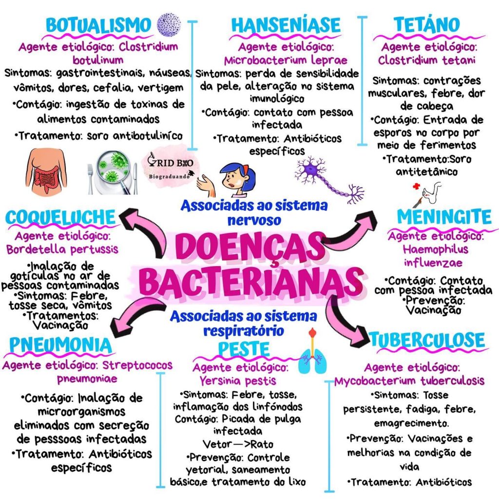 Doen As Bacterianas Resumos E Mapas Mentais Infinittus