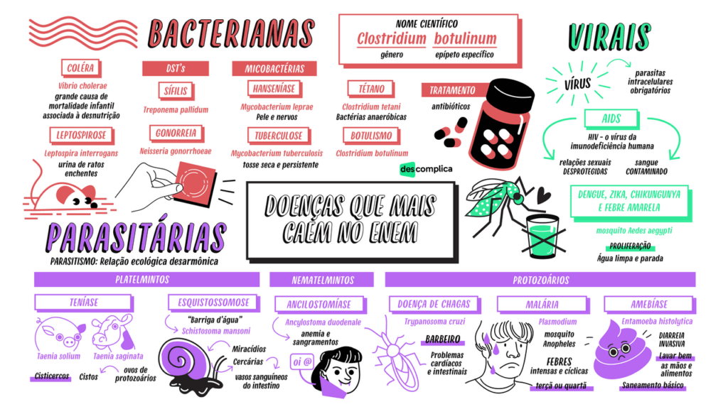 Doen As Bacterianas Resumos E Mapas Mentais Infinittu Vrogue Co