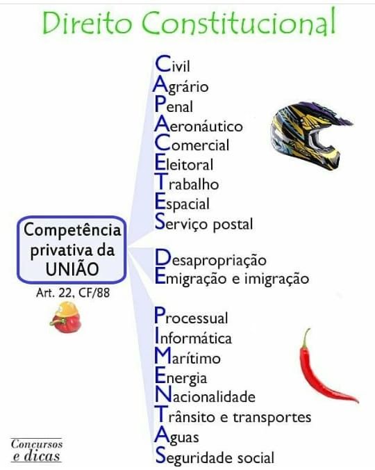 direito-constitucional-concurso-mapa-mental-e-resumo-10
