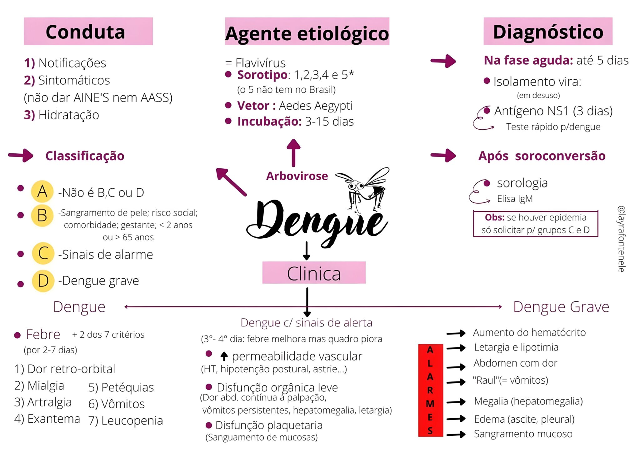 Dengue: Resumos e Mapas Mentais - Infinittus