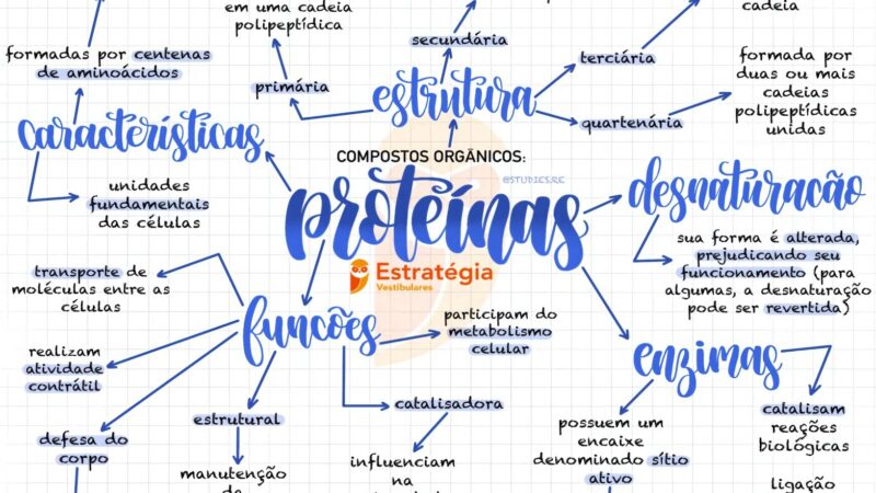 mapa mental proteinas 2